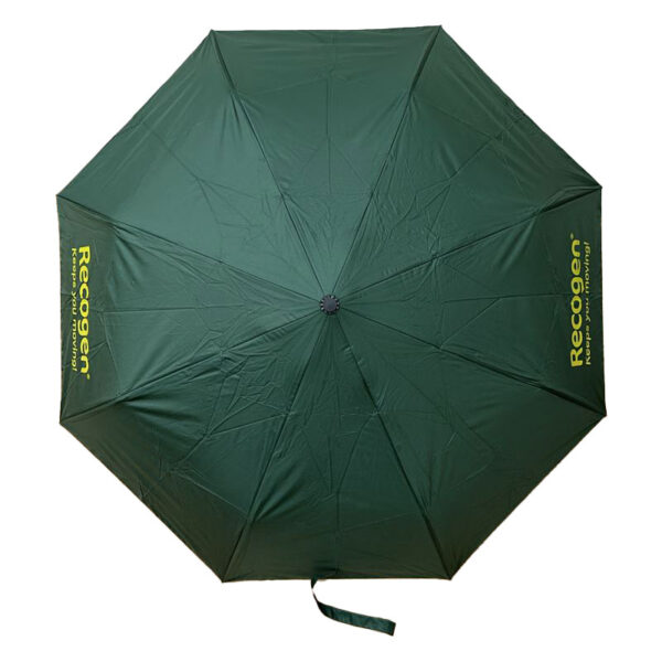 recogen-umbrella-green-2