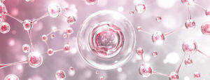 Bioactive Collagen Peptides is a more refined collagen, makes it easier to be absorbed